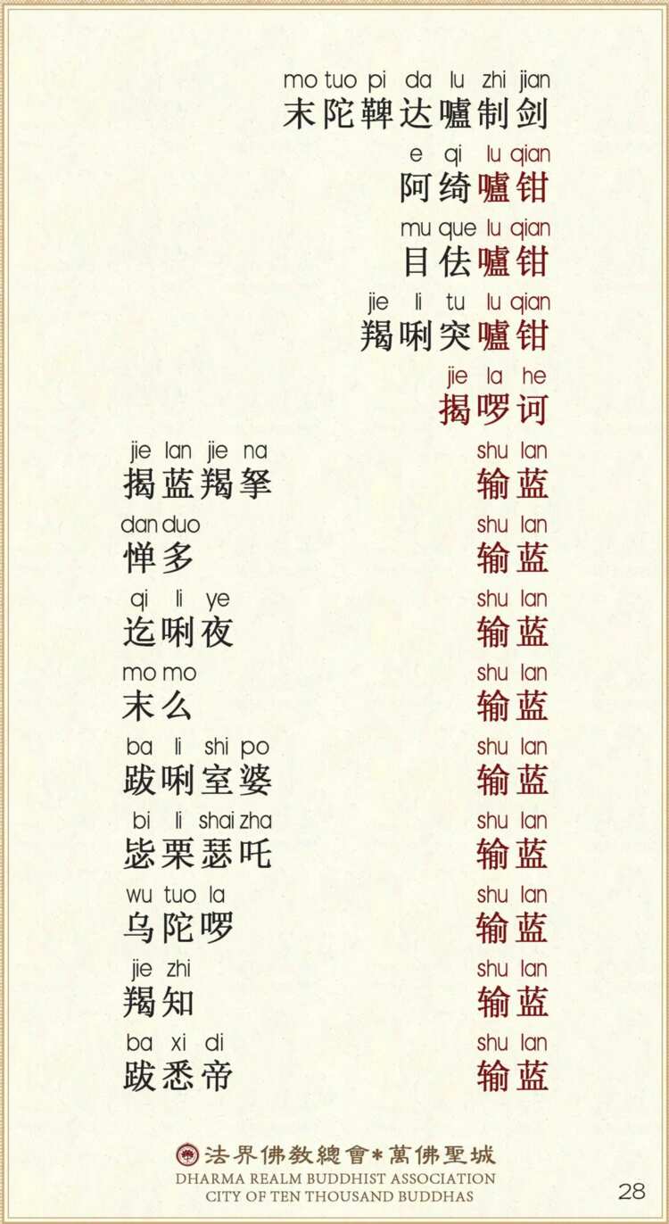 第五会5