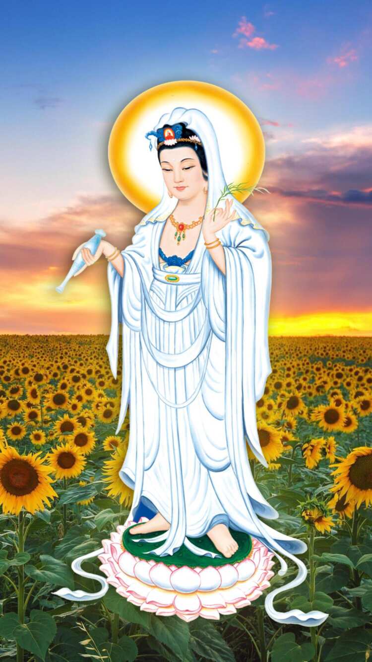 普门品3
