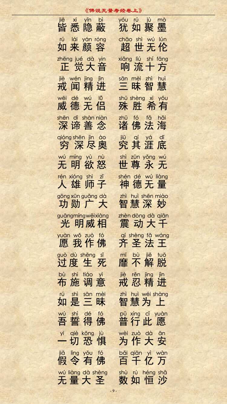 无量寿经卷上8