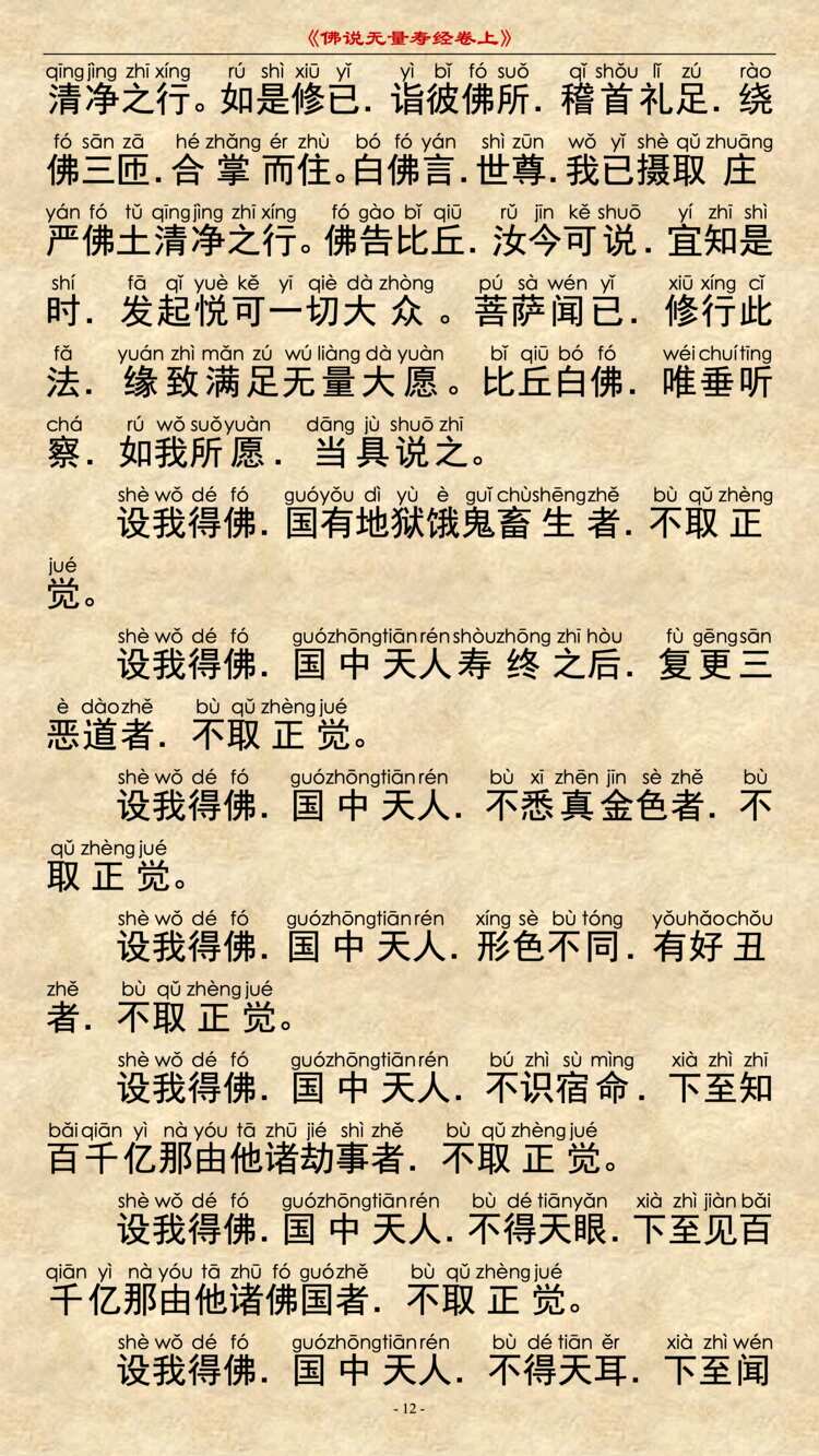 无量寿经卷上11