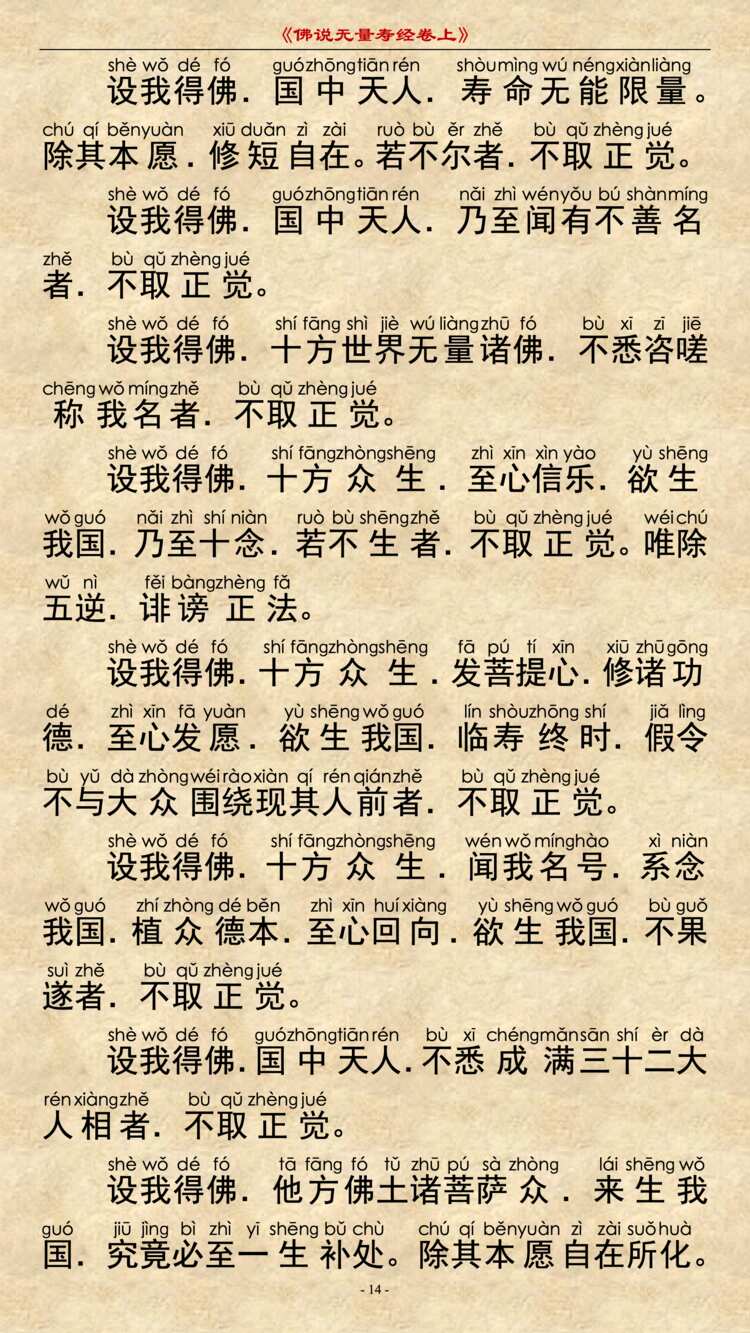无量寿经卷上13