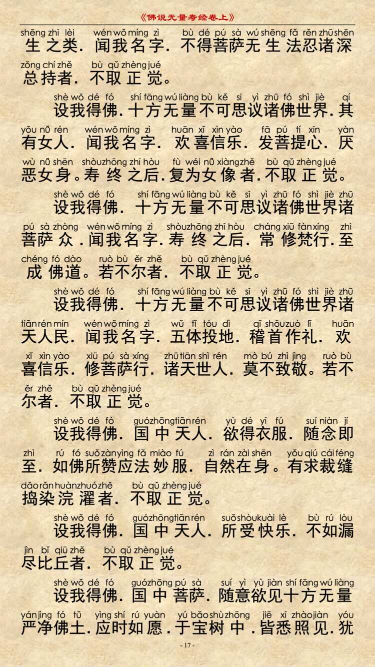 无量寿经卷上16