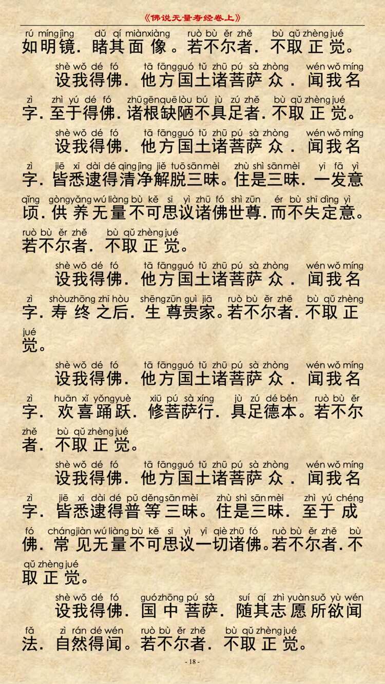 无量寿经卷上17