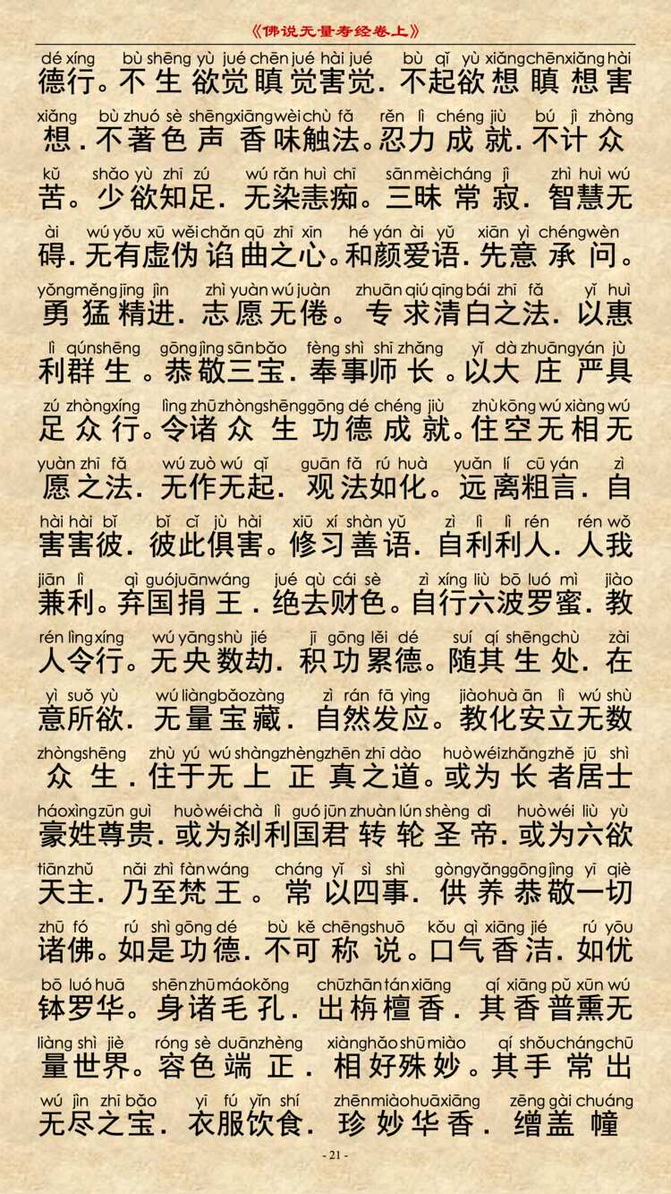 无量寿经卷上20
