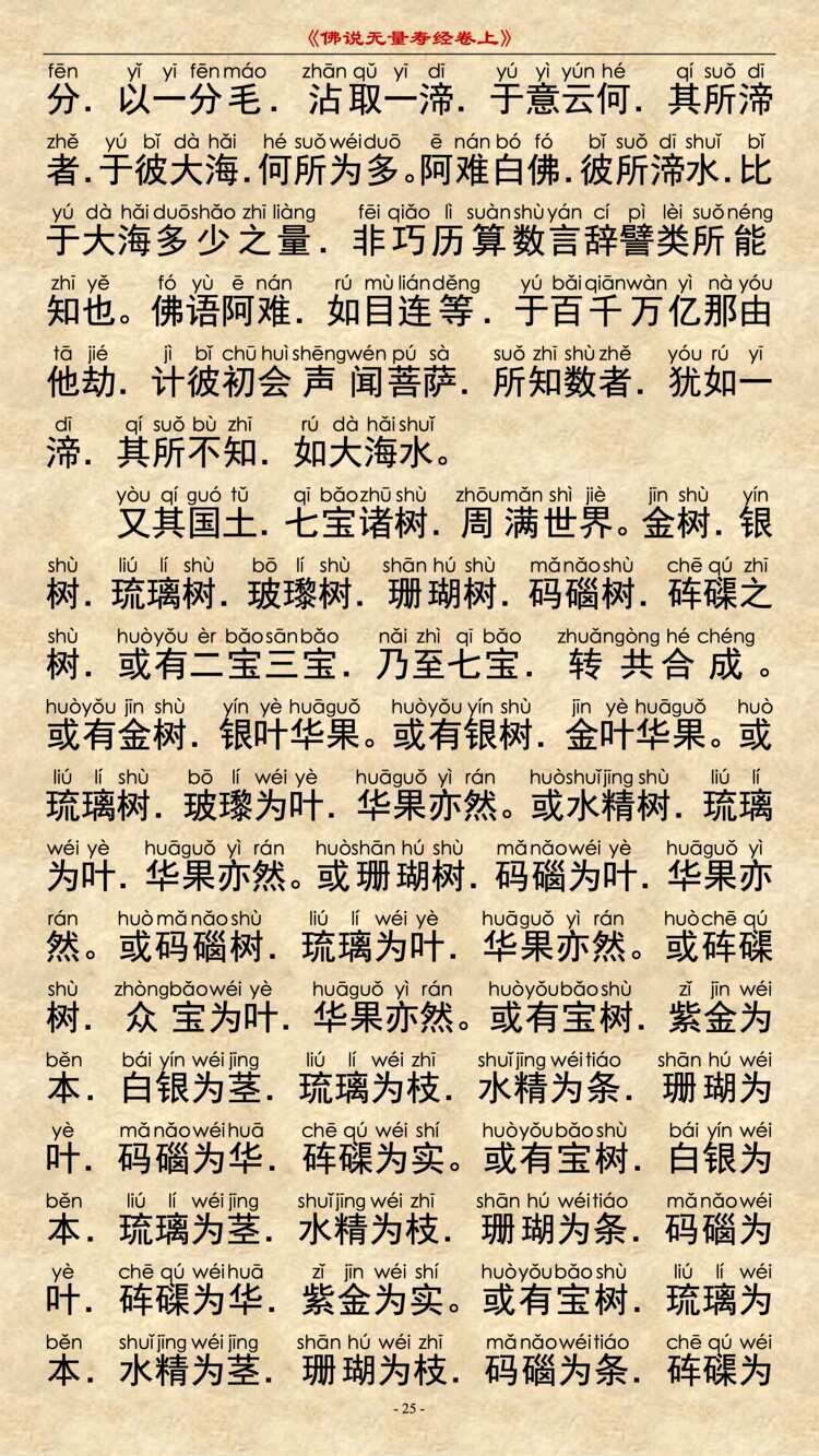无量寿经卷上24