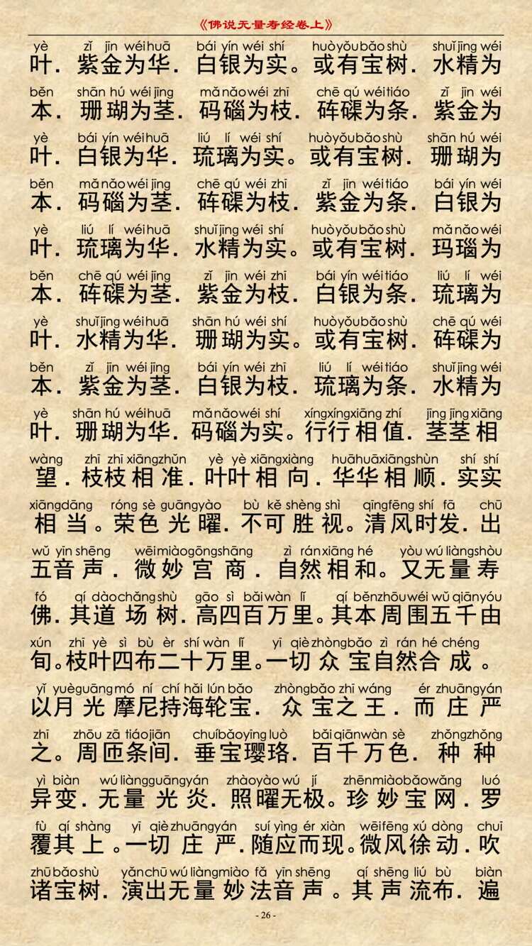 无量寿经卷上25