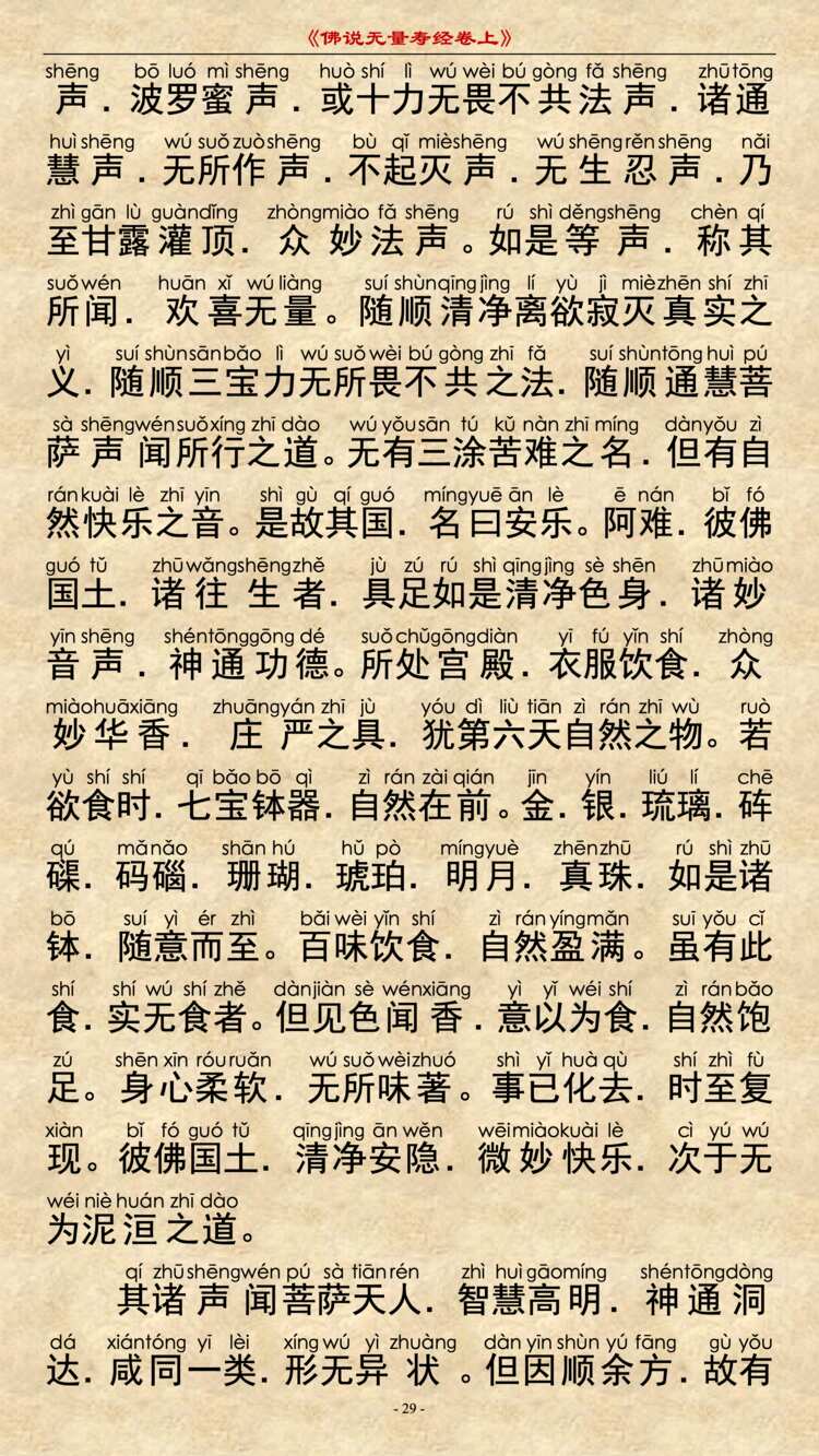 无量寿经卷上28
