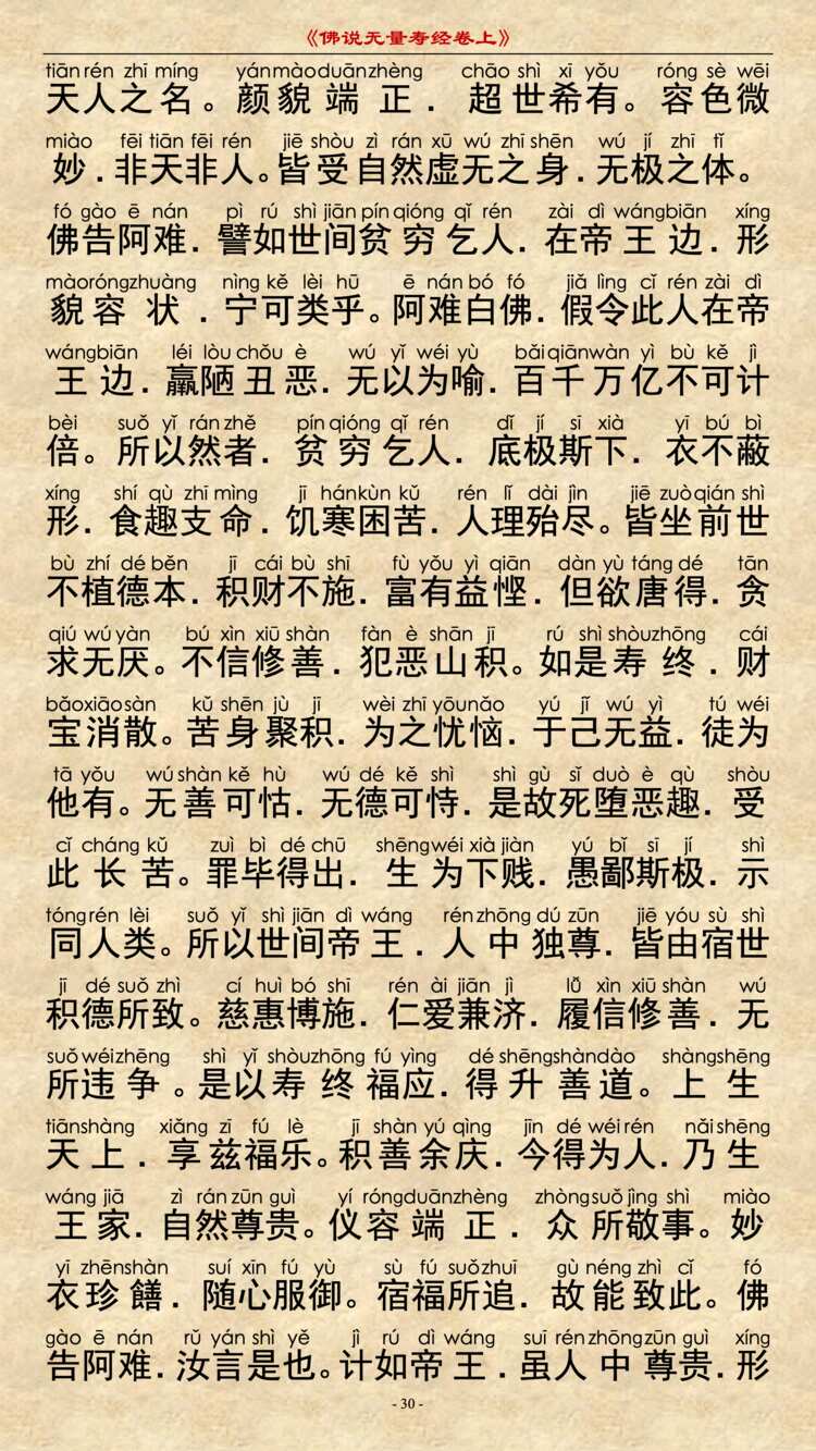 无量寿经卷上29