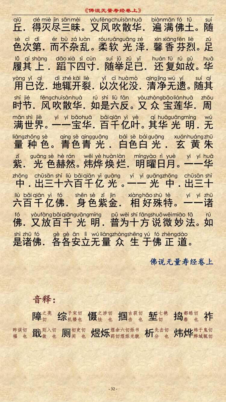 无量寿经卷上31
