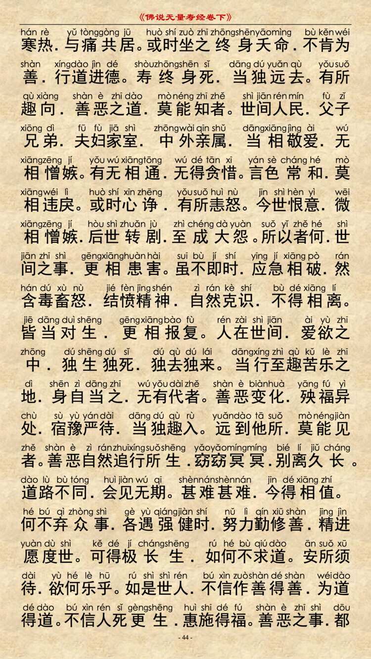 无量寿经卷下12