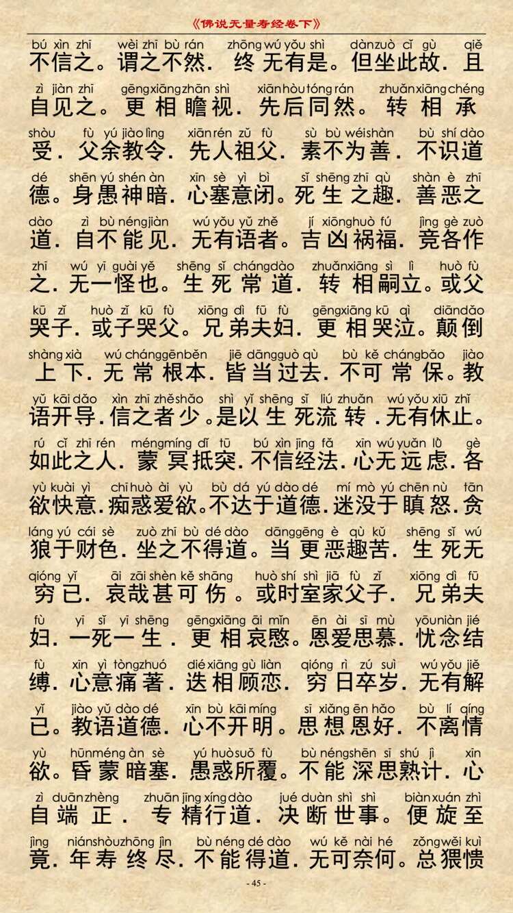 无量寿经卷下13