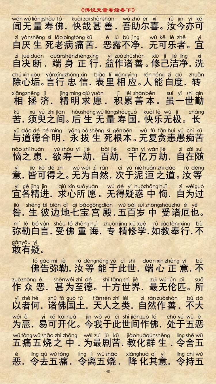 无量寿经卷下16