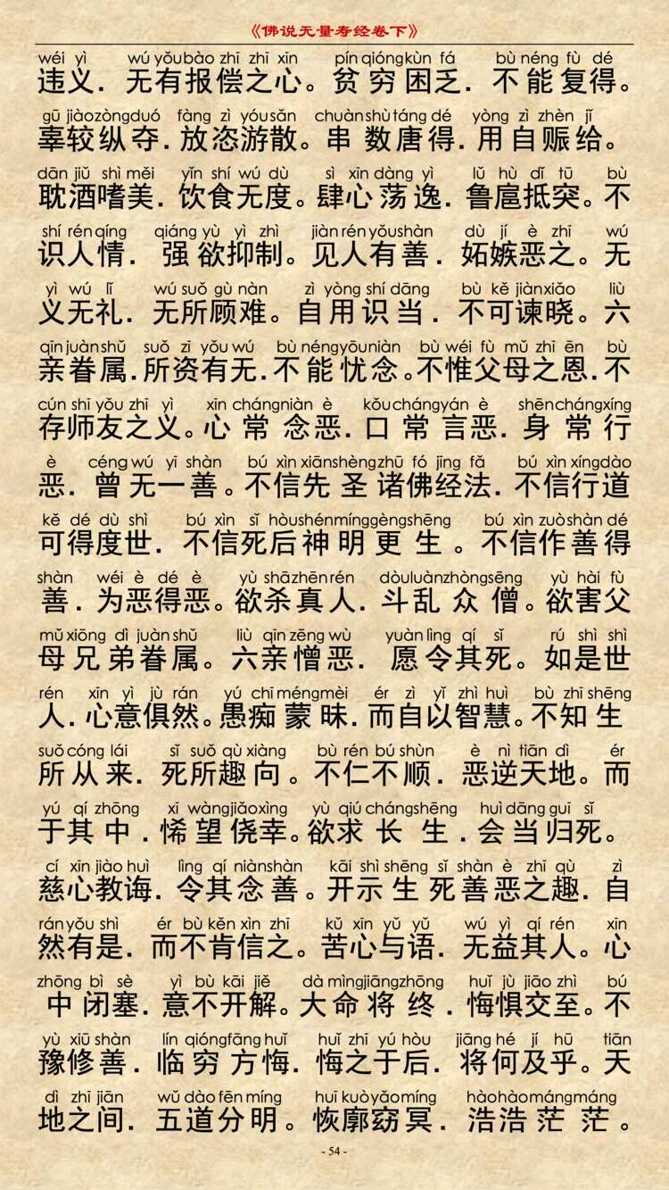无量寿经卷下22