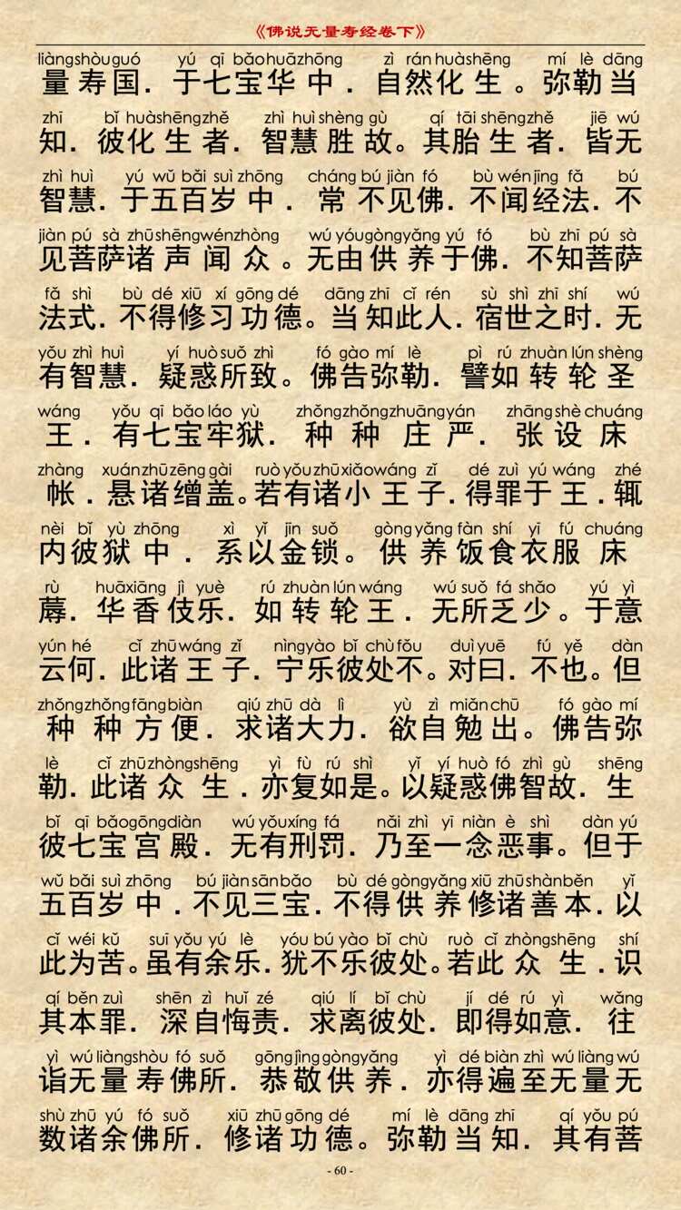 无量寿经卷下28